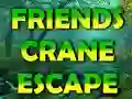 Igra Friends Crane Escape online
