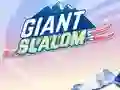 Igra Giant Slalom online