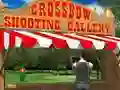 Igra Crossbow Shooting Gallery online
