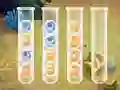 Igra Sort Bubbles online
