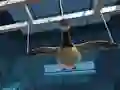 Igra Goose Museum online