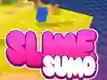 Igra Sumo Slime 3D online