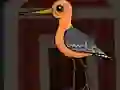Igra Cute Godwit Escape online