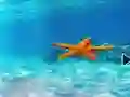 Igra Escape From Underwater Starfish online