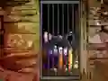 Igra Hidden Cat Escape online