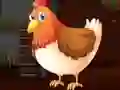 Igra Cute Brahma Chicken Escape online