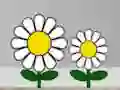 Igra Find Succulent Plant online