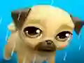 Igra My Virtual Pet Louie the Pug online