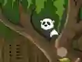 Igra Panda Jungle Escape online