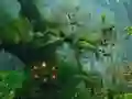 Igra Innocent Sparrow Couple Escape online