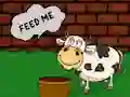 Igra Find The Cow Feed online