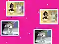 Igra Baby Looney Tunes Match Up online