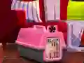 Igra Escape The Small Pug online
