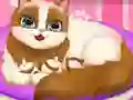 Igra Cute Kitty Pregnant online