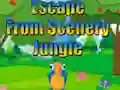 Igra Escape from Scenery Jungle online