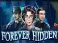 Igra Forever Hidden online