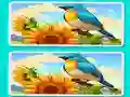Igra Spot the Difference The Garden online