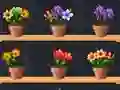 Igra Good Flower Master online