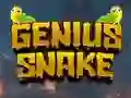 Igra Genius Snake online