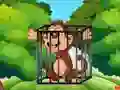Igra Free the Captive Ape online