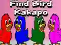 Igra Find Bird Kakapo online