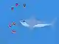 Igra Oceans Shees online