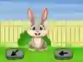 Igra Springtime Escape online