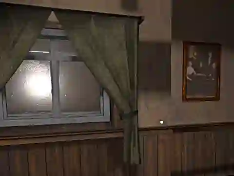 Igra Hide and Seek Pro online