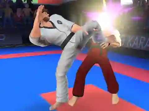 Igra Karate Fighter online