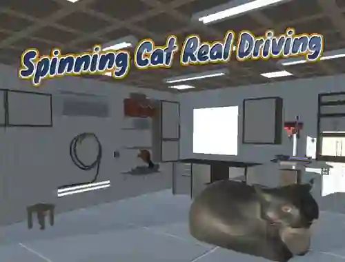 Igra Spinning Cat Real Driving online