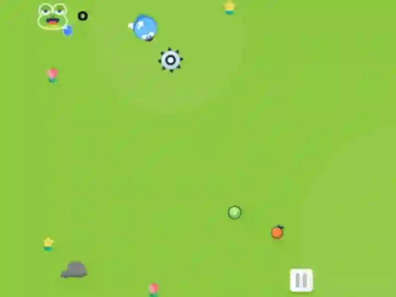 Igra Snake And Fruits online