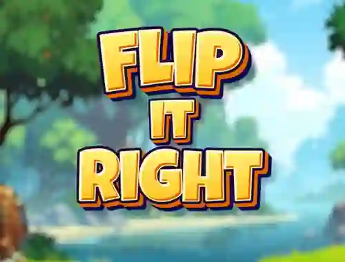 Igra Flip It Right online