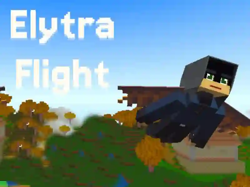 Igra Elytra Flight online