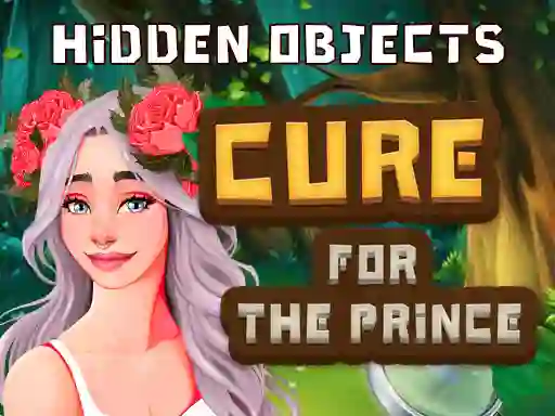 Igra Hidden Objects Cure For The Prince online