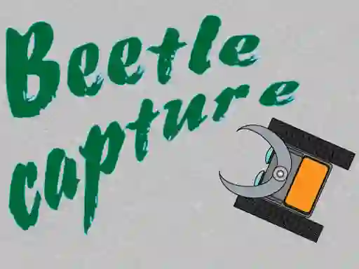 Igra Beetle Capture online