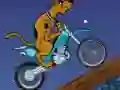 Igra Scooby Doo Trail online