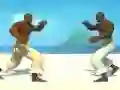 Igra Capoeira fighter online