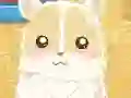 Igra Hamster Love online