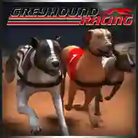 Igra Greyhound Racing online