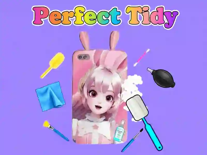 Igra Perfect Tidy online