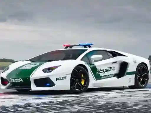 Igra Police Cars Jigsaw Puzzle online