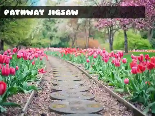 Igra Pathway Jigsaw online
