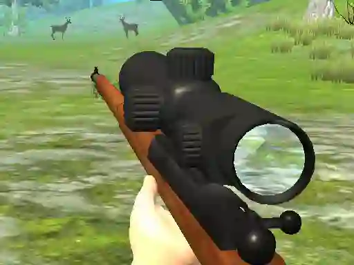 Igra Hunter 3D online