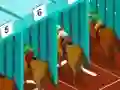 Igra Derby racing online