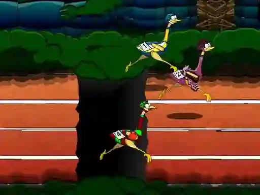 Igra Big Birds Racing online