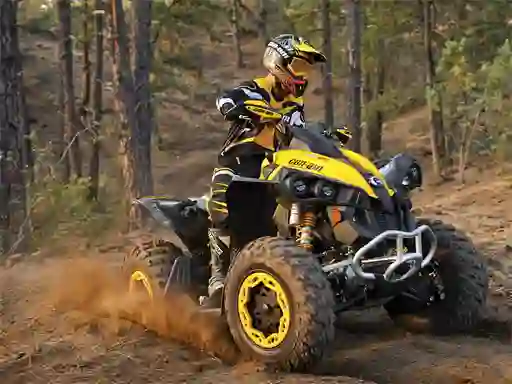 Igra ATV Offroad Puzzle online