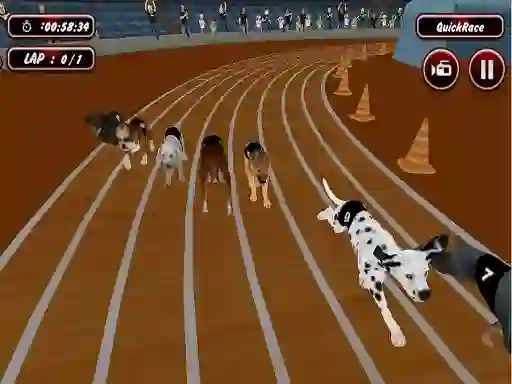 Igra Crazyl Dog Racing Fever online