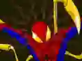 Igra Spiderman Customization online