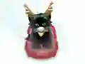 Igra Pet Sledding online