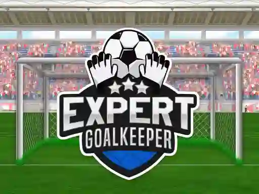 Igra Expert Goalkeeper online